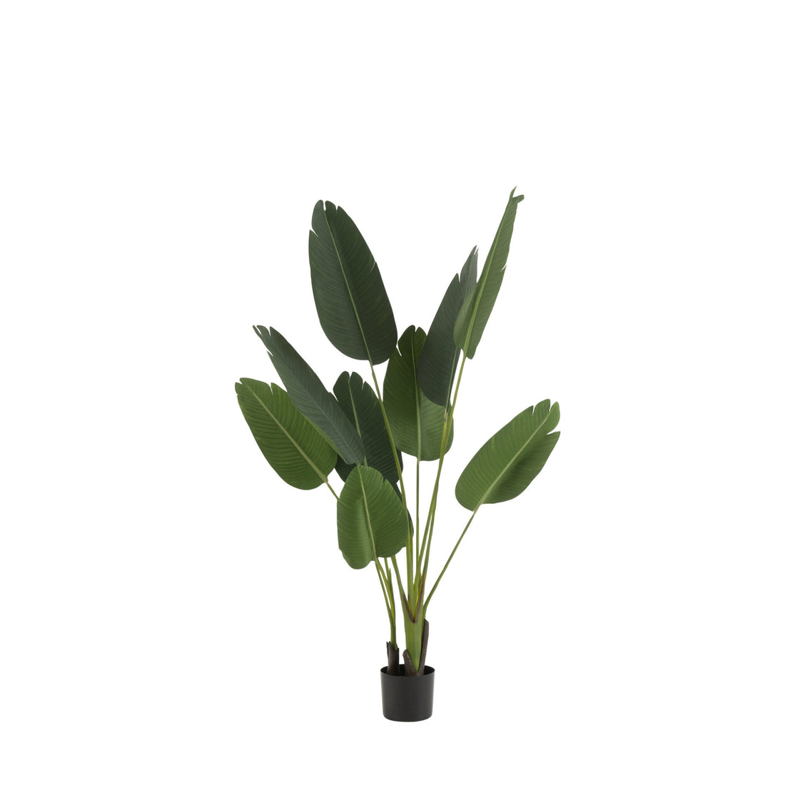 Strelitzia Plastique Vert Petit