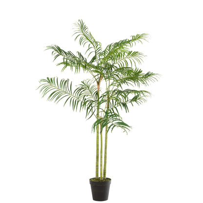 Palmier en bambou en pot plastique vert/noir, petit, J-Line