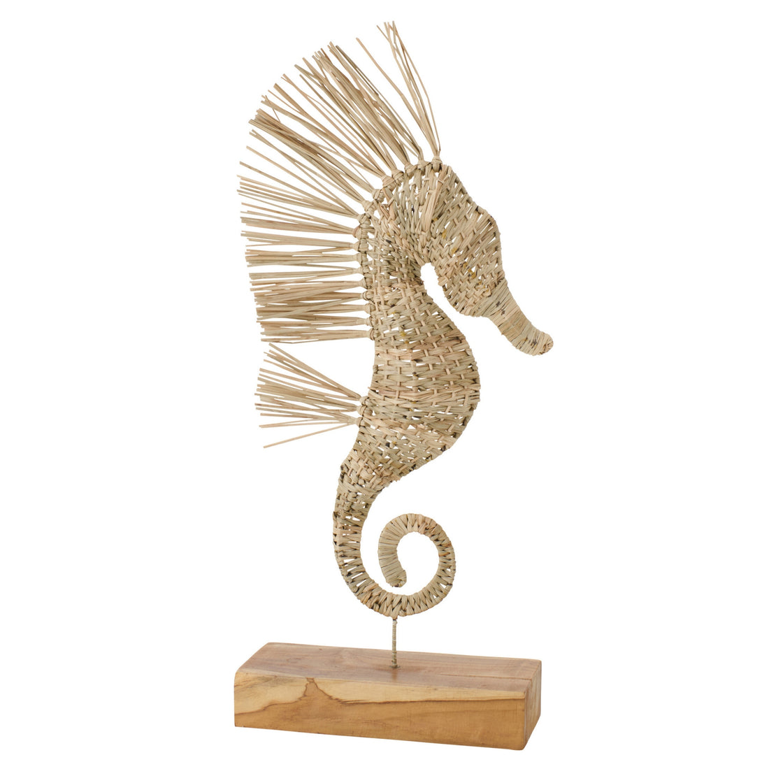 Hippocampe Sur Pied Herbe Naturel Large J-Line