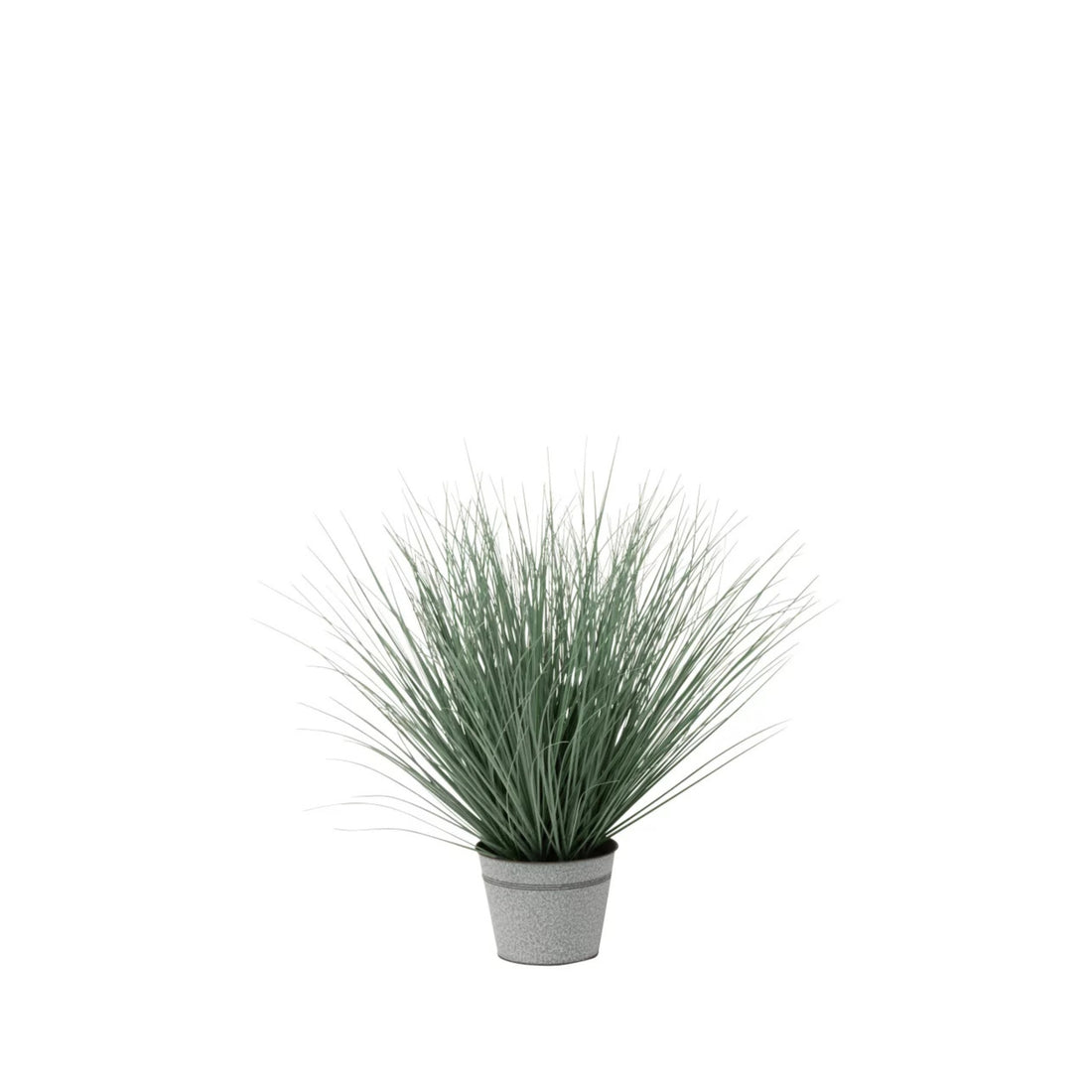 Herbes en pot Métal Plastique Bleu/Vert Moyen