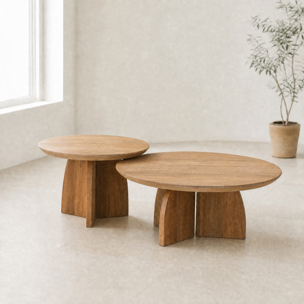 DTP Home Ensemble de 2 tables basses Nova en teck