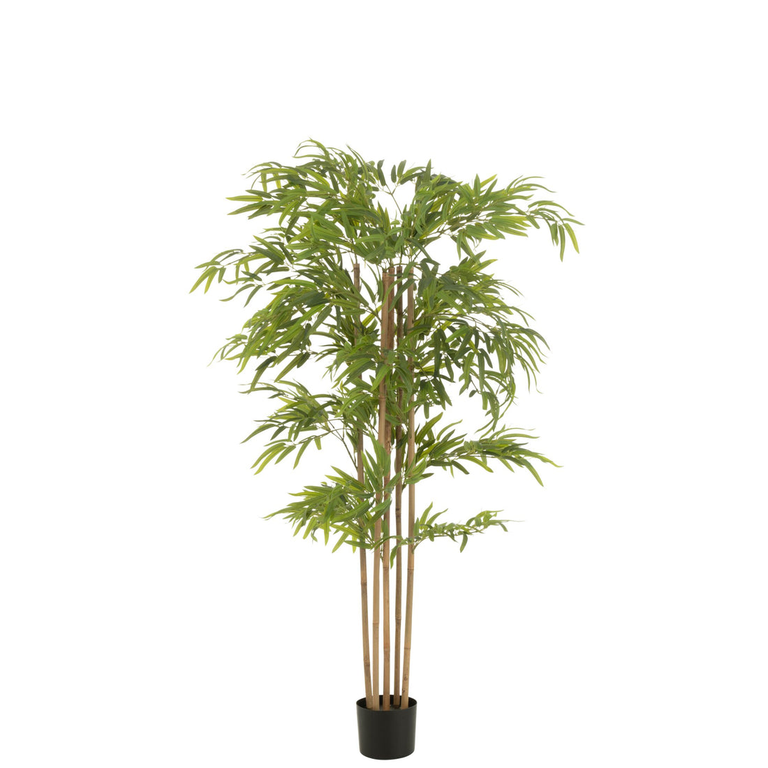 Bambou en pot en plastique vert H150 cm J-Line