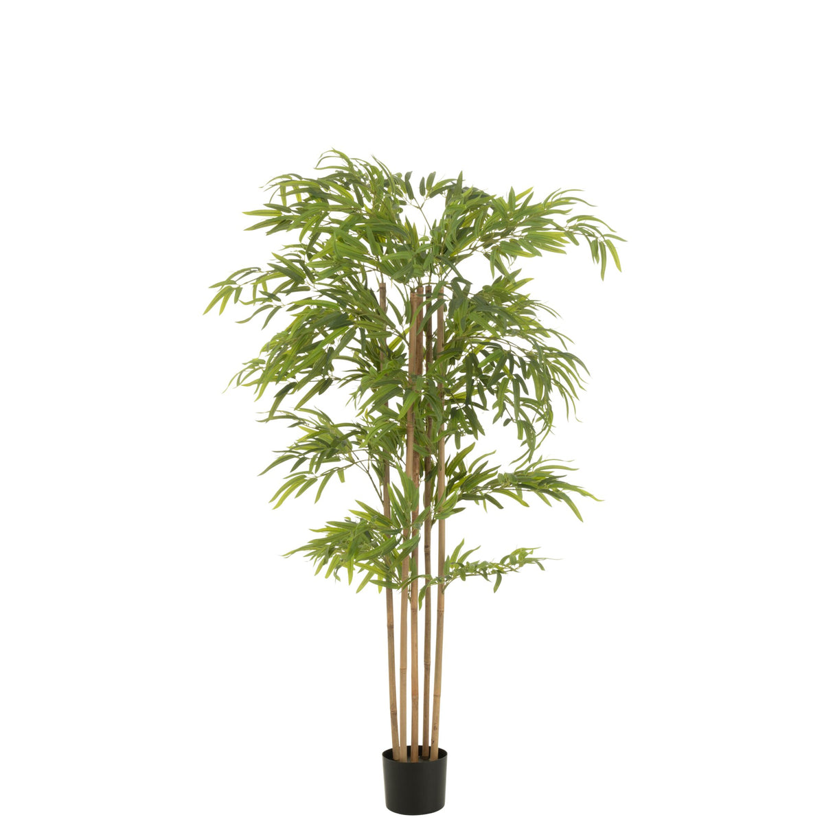 Bambou en pot en plastique vert H150 cm J-Line