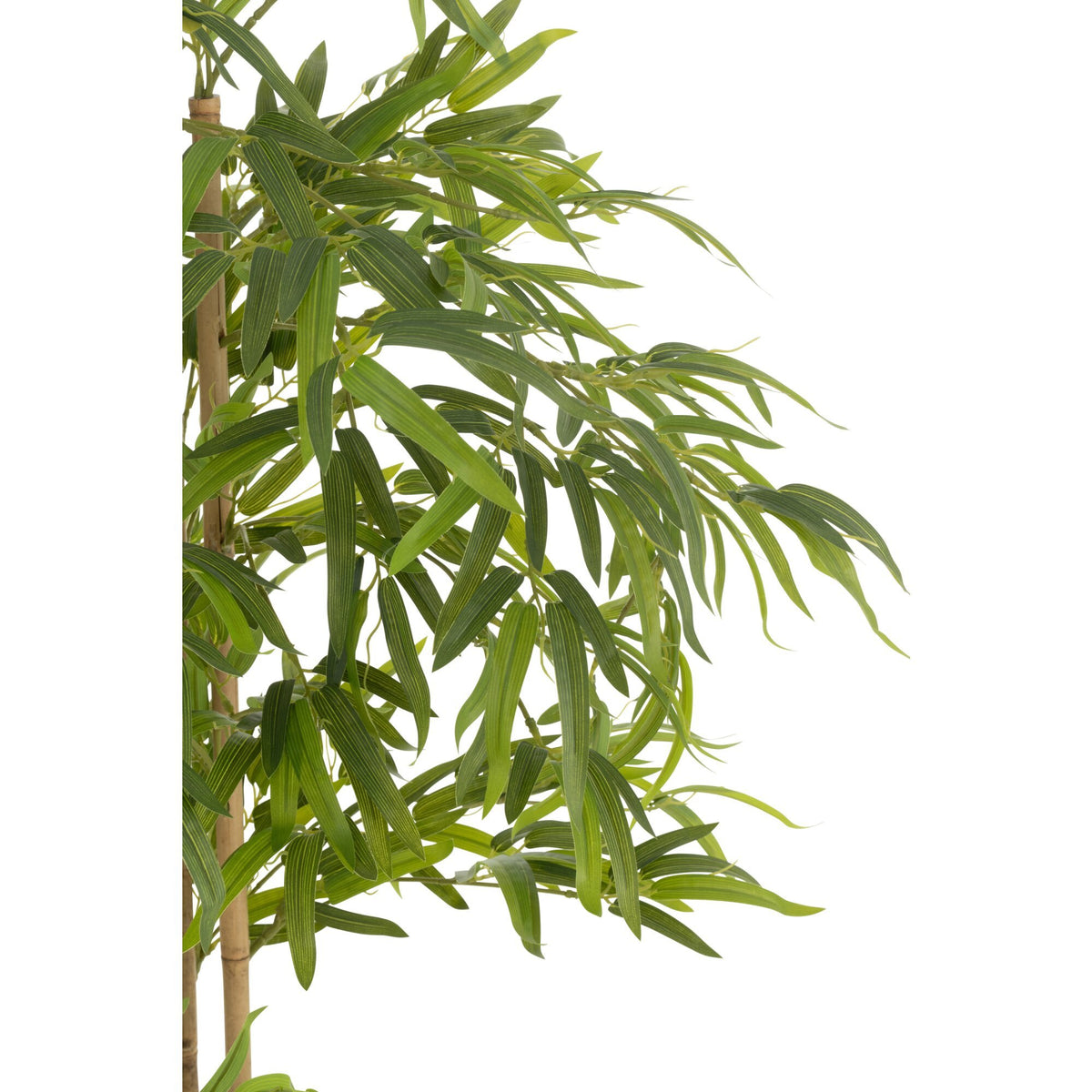 Bambou en pot en plastique vert H150 cm J-Line