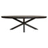 Ovale Denver Zwart eettafel 300cm van Starfurn met centrale metalen matrixpoot in zwarte lak