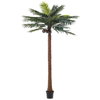 Palmier Avec 4 Noix De Coco En Pot Plastique Vert H350cm J-Line