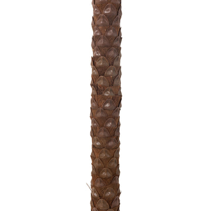 Palmier Avec 4 Noix De Coco En Pot Plastique Vert H350cm J-Line