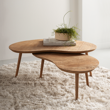 DTP Home Apollo Ensemble de 2 tables basses