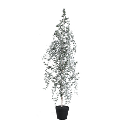 Set Van 3 Florine LED Kunstkerstbomen Mosgroen Met Sneeuw van PTMD, Florine Kunstkerstboom Large uit de set los op witte achtergrond