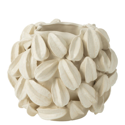 Vaas Botanica Cacao Breed Beige J-Line